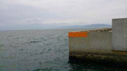 マメ、マメ、マメ、マメ 豆！