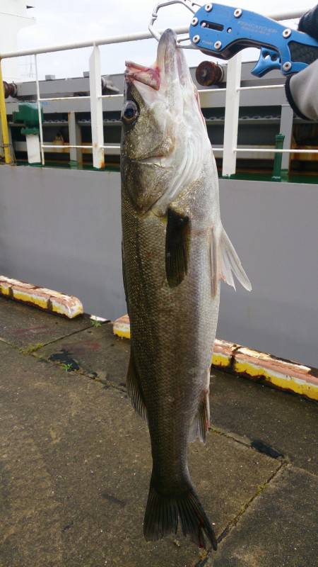 制圧したのに・・・