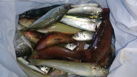 当たり多かったです！