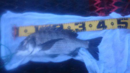 公園の落とし込み