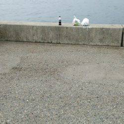 アカン日や…(-_-;)