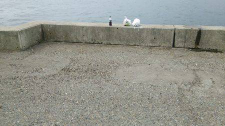 アカン日や…(-_-;)