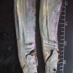 群れがいないと。