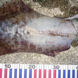 初めての場所で！