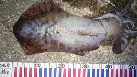 初めての場所で！