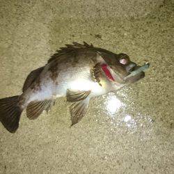 風雨にも負けず!