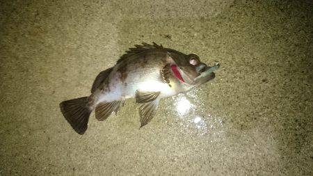 風雨にも負けず!