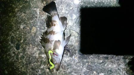 パラワームの勝ち！