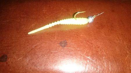 アジング釣行記