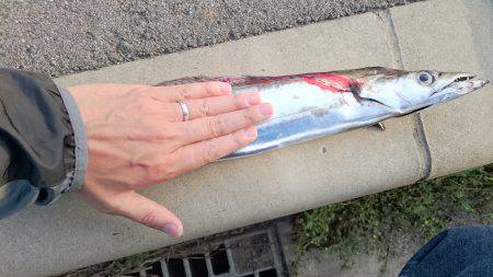 サーべリング調査