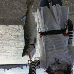 神戸で釣れる魚なの？