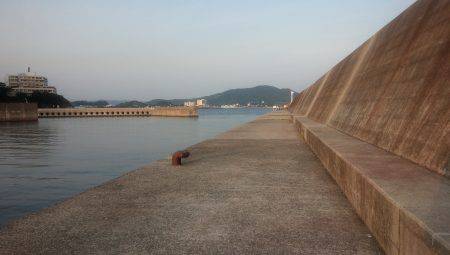 夕方からのメバリング！