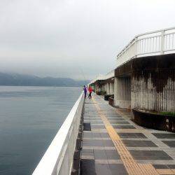 豆アジ好調！！