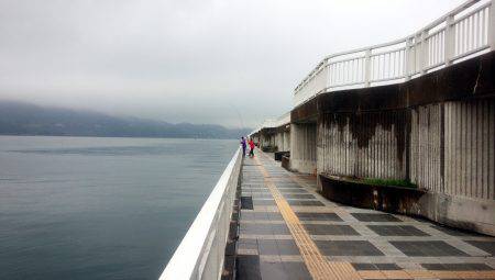 豆アジ好調！！