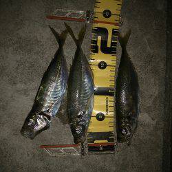 これは言えない