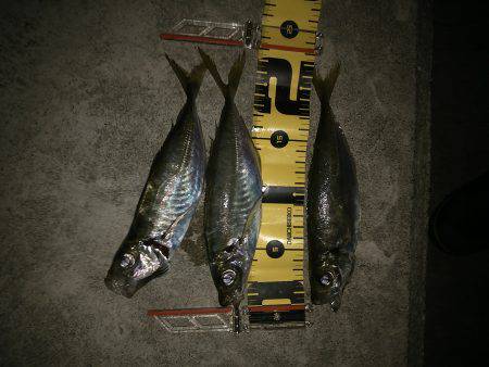 これは言えない