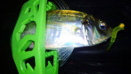 何とかホゲ回避