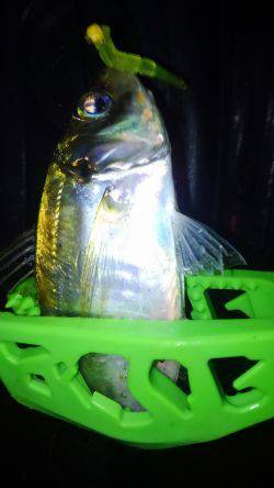 何とかホゲ回避