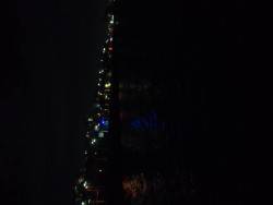 メバリング（餌）