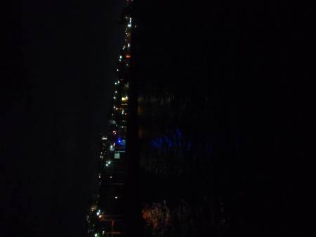 メバリング（餌）