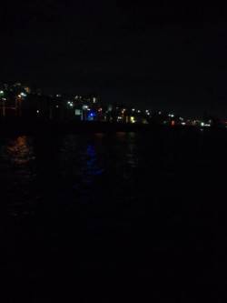 メバリング（餌）