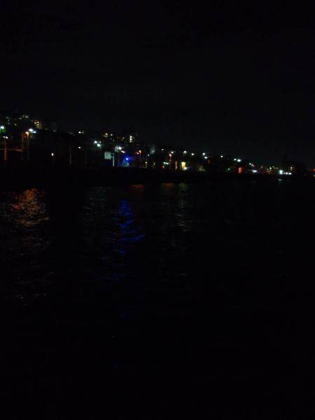 メバリング（餌）