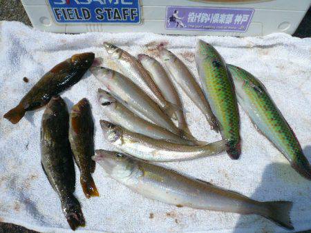 近場の東二見港へ釣行