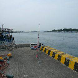 二見港水道で五目釣り