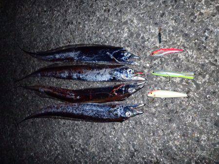 短い時合いにサクッと♪