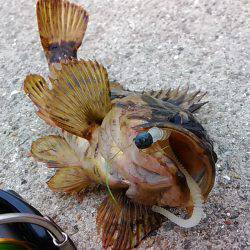 180円のワームで……