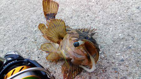 180円のワームで……