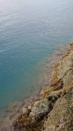 今シーズンラスト