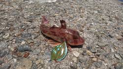 諦めかけたその時