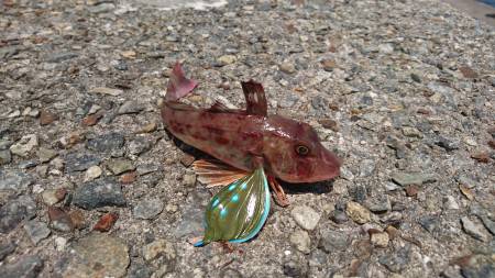 諦めかけたその時