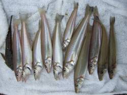 キス狙いになりました。