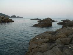 春イカ終盤!?アオリイカのヤエン釣り