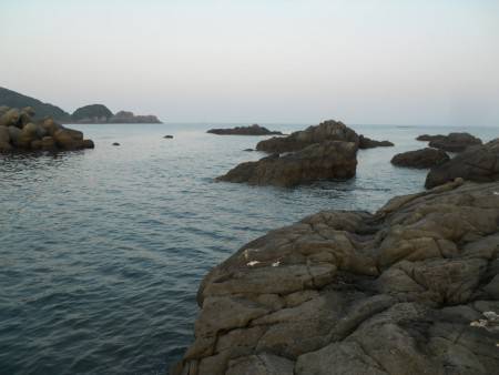 春イカ終盤!?アオリイカのヤエン釣り