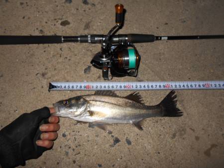 1時間で3ヒット♪