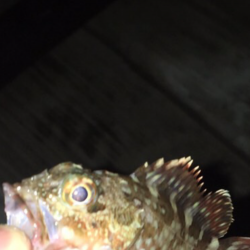 エビ撒かずとも