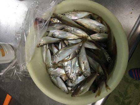 南蛮付けすんぞ