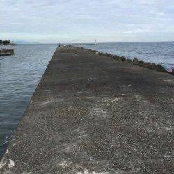 ガシラホールフィッシング