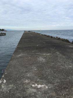 ガシラホールフィッシング