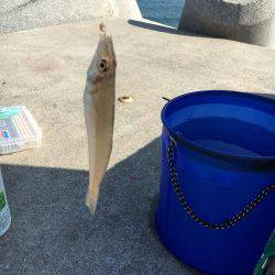 去年の今頃はもっと！