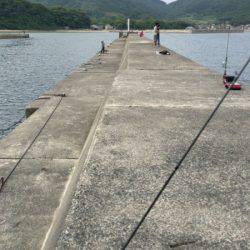 ガシラと豆アジ