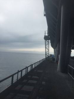 雨の中のとっとパーク釣行