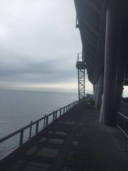 雨の中のとっとパーク釣行