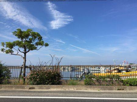 アジングのつもりが