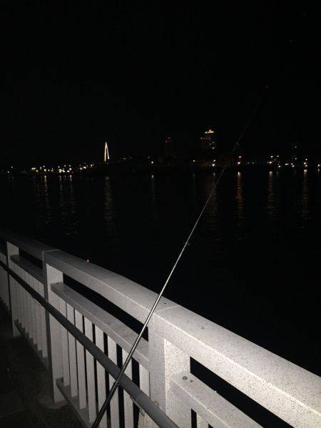 タチウオなんとか1匹