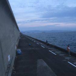 和歌山遠征 青物狙いの春タチウオ