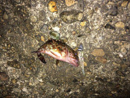 仕事帰りにランガン釣行